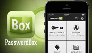 PasswordBox