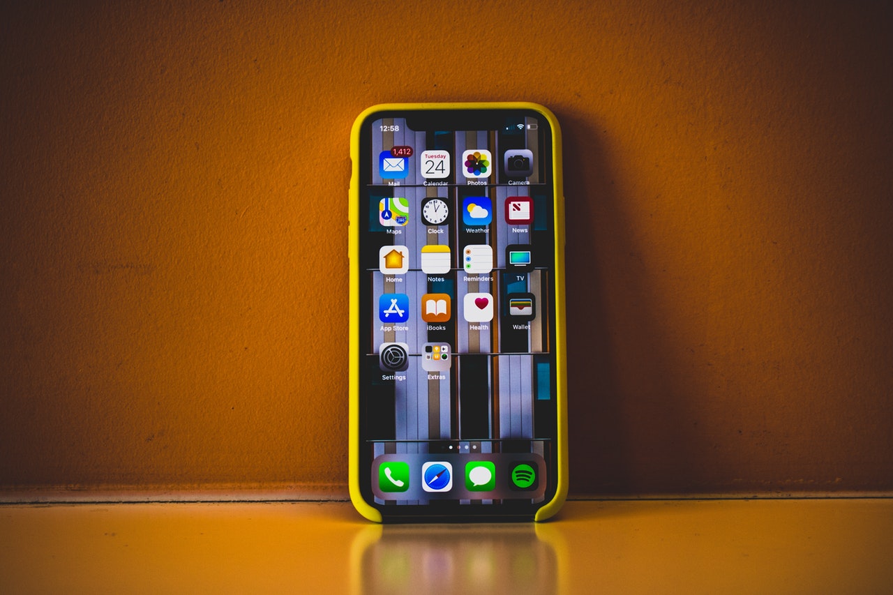 iPhone X with case