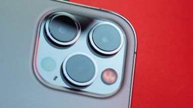 iPhone 12 Pro Max camera bump