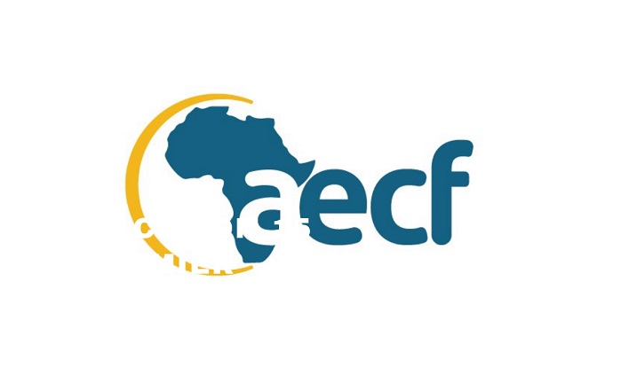 AECF Launches US$1.2 Million Fund to Support Renewable energy Entrepreneurs in Africa