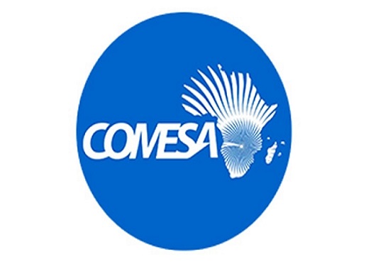 The Common Market for Eastern and Southern Africa (COMESA) has launched a regional campaign to popularise a platform for women in business.