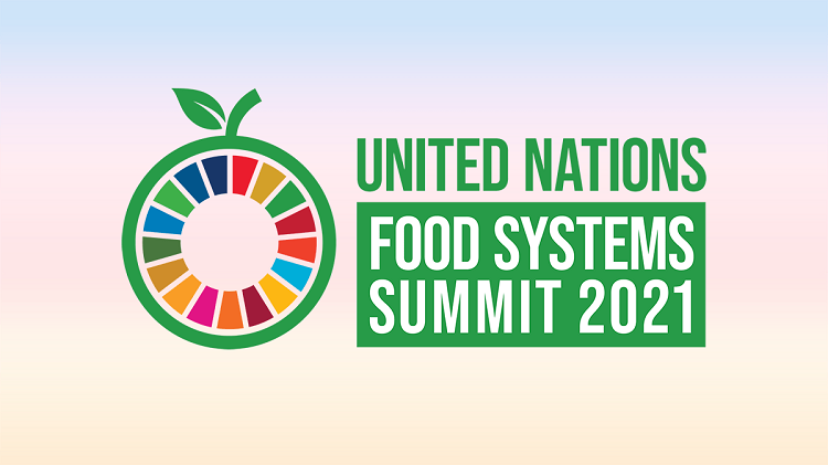 UN Food Systems Summit