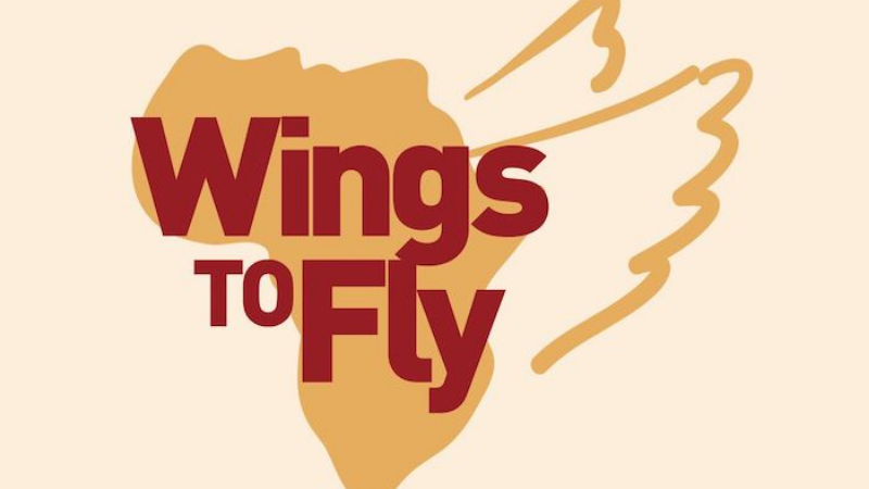 Wings to Fly Scholars