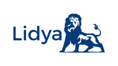 Nigerian fintech startup Lidya raises $8.3m pre-Series B funding round