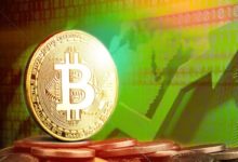 The Central African Republic Approves Bitcoin as legal tender