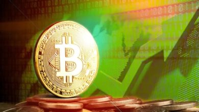 The Central African Republic Approves Bitcoin as legal tender