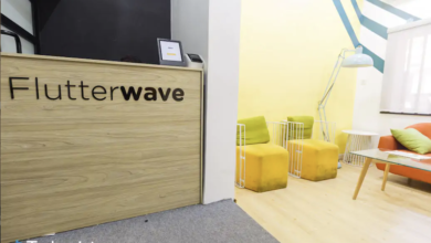 Flutterwave CEO Embroiled in Bullying, Fraud Claims | TechTrendsKE