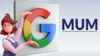 Google Multitask Unified Model