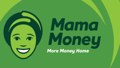 SA Remittance Fintech Mama Money