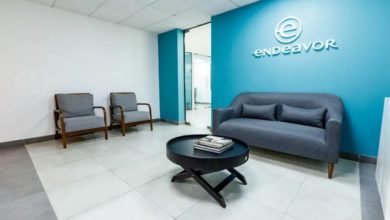 Endeavor Nigeria report