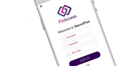 HAVAÍC FinAccess investment