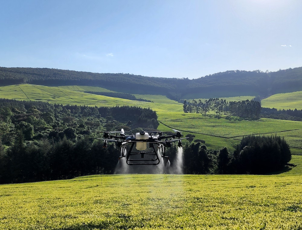 Sasini to start using drones for fertilizer application and chemical spraying on its Kipkebe tea farm