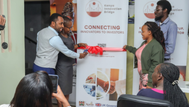 Kenya Innovation Bridge