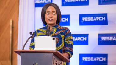 Research PLUS Africa unveils platform for African researchers