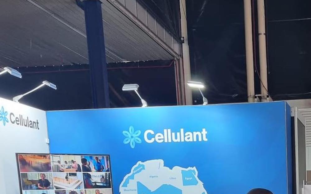 Cellulant to lay off 20% of its workforce