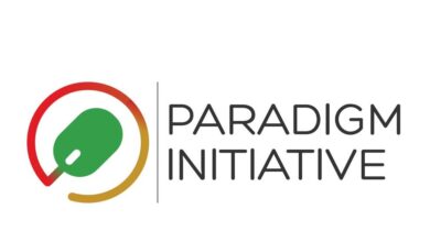 Paradigm Initiative Undersight Film