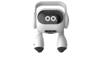 LG Home AI Assistant