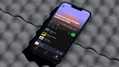 Spotify daylist feature