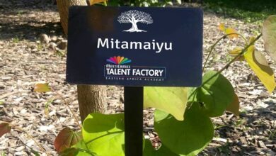 MultiChoice Talent Factory The Earthshot Prize partnership