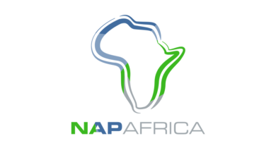 NAPAfrica traffic