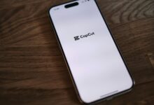 CapCut