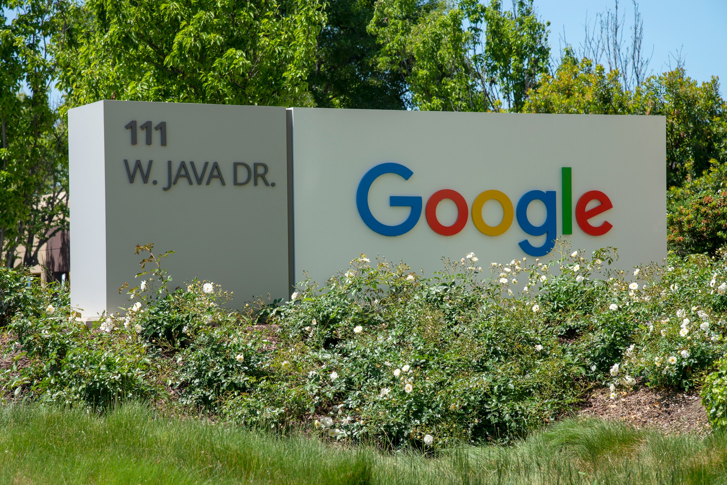 Google Layoffs 2025