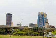 Kenya Digital Economy Growth