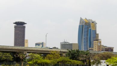 Kenya Digital Economy Growth