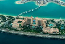 UAE AI education