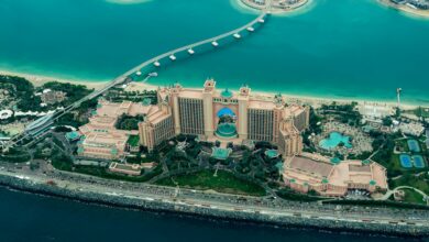 UAE AI education