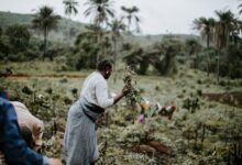 Farmers ditch Hustler Fund