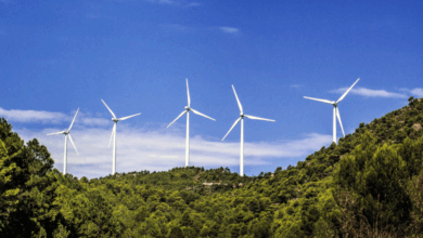 Top Sustainability Blogs in Kenya