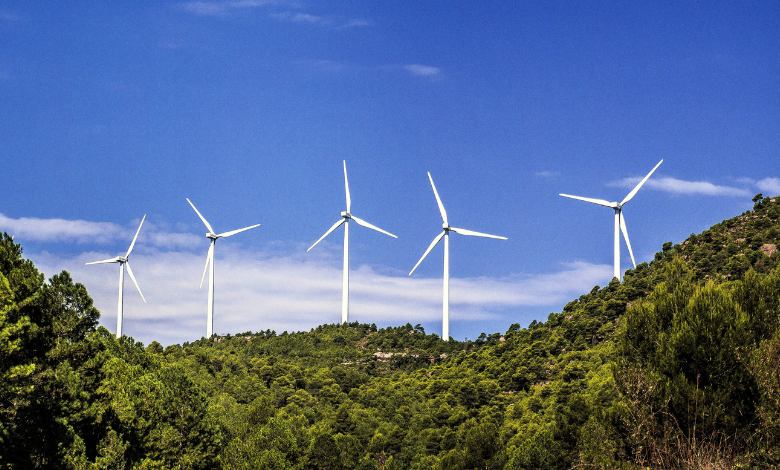 Top Sustainability Blogs in Kenya