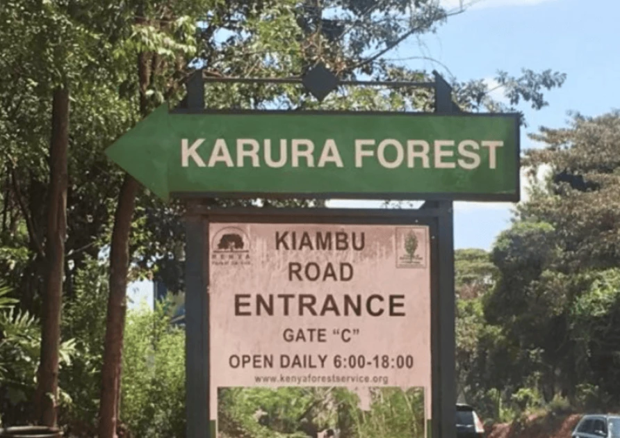 Karura Forest Takeover