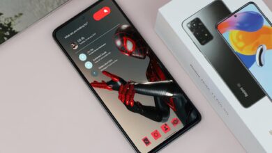 Nova Launcher future