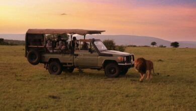 digital disruption in Kenya tourism