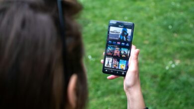 Disney Sub-Saharan Africa leadership