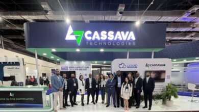 Cassava and Entanglement Partnership