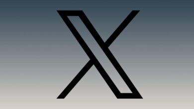 creator loyalty and platform influence