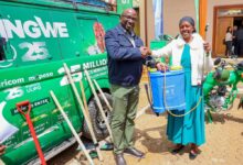 Safaricom’s DigiFarm Launches Instant Cash Advance to Support Kenya’s Tea Farmers