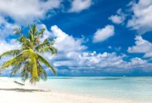 From Maritime Gateway to Digital Hub: Mauritius Telecom's Cloud Transformation