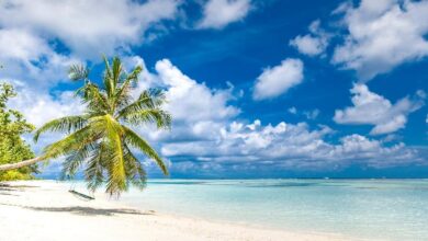 From Maritime Gateway to Digital Hub: Mauritius Telecom's Cloud Transformation