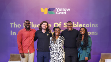 Yellow Card Report on AI Governance and Data Protection