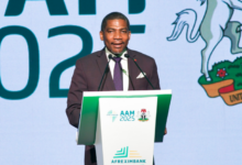 St Kitts to Host Fifth AfriCaribbean Trade Forum 2026