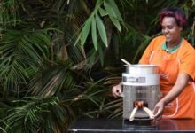 A woman demonstrates an eco-friendly cookstove in Kenya, highlighting the shift toward cleaner, more efficient household cooking solutions.