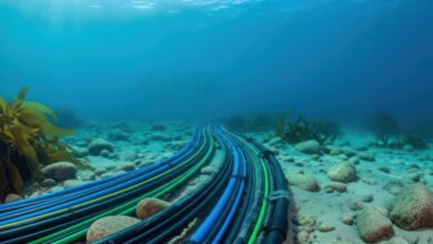 Subsea fibre-optic cables on the ocean floor representing the Blue-Raman digital connectivity network.