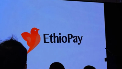 Ethiopia's EthioPay-IPS platfor Hits 1 Million Daily Transactions