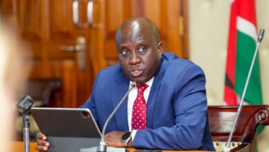Kenya, EU Deepen Digital Transformation Partnership