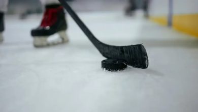 The physical aspects of ice hockey pucks