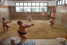 How do sumo stables work